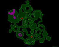 M1 Map Pfhoraphobia.png