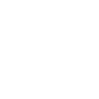 Codec Logo.png