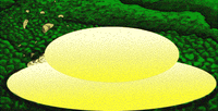 PID Nuke.png