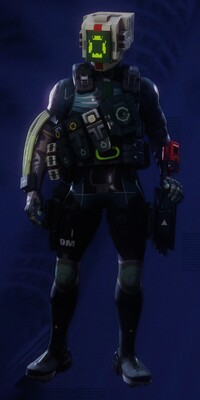 Sentinel Retro Remix.jpg
