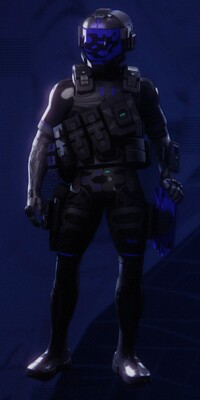 Sentinel Shadow Index.jpg