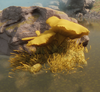 NovelContagion Fungus.png