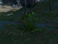 Perimeter Sparkleaf.png