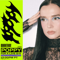 YouTube PoppyQ&A.png